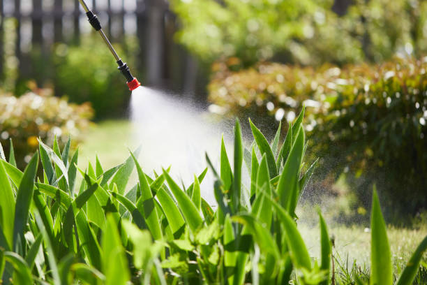 24/7 Emergency Mosquito Control experts in Cheney, KS