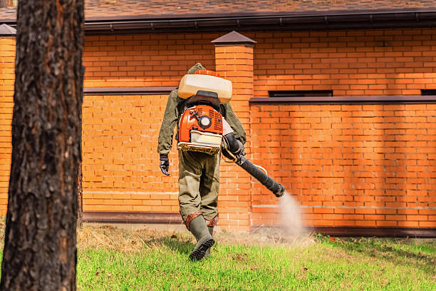 Top rated local Mosquito Control specialists in Cheney, KS